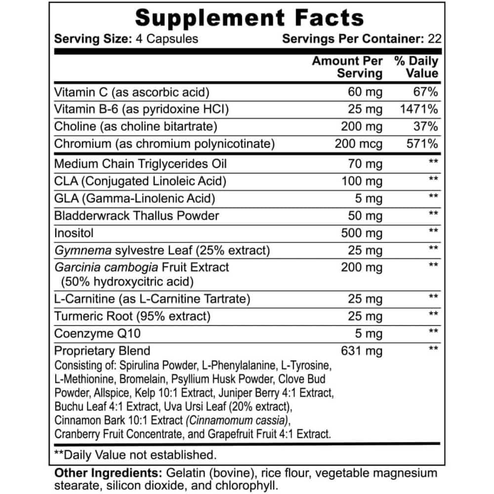 Dietary Supplement Facts label for Thermogenic Fat Burner Capsules showing 4 Capsules per serving and 90 Capsules per bottle.