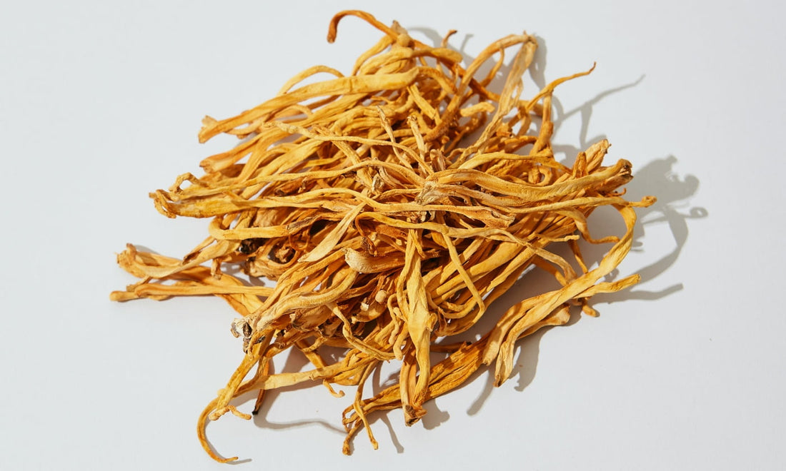 a pile of dried Cordyceps mushrooms