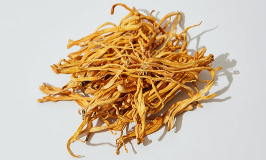 a pile of dried Cordyceps mushrooms